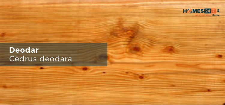 10 Different Types Of Wood In India That Can Be Used For Furniture