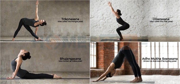 yoga para principiantes – sleptkb6.grabstudy.com