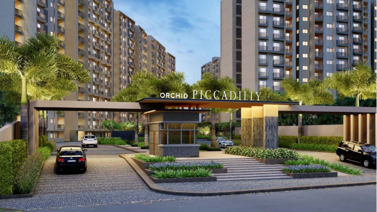 Goyal Orchid Piccadilly