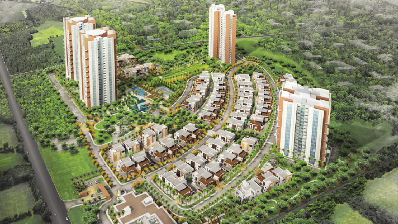 prestige white meadows