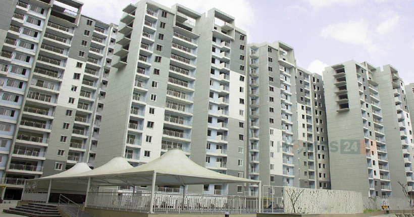 SJR Blue Waters