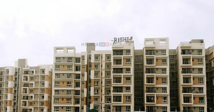 Rishi Ecoview-Maincover-05