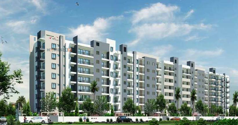 Mahaveer Willet Whitefield, Bangalore | Price, Reviews & Floorplans ...