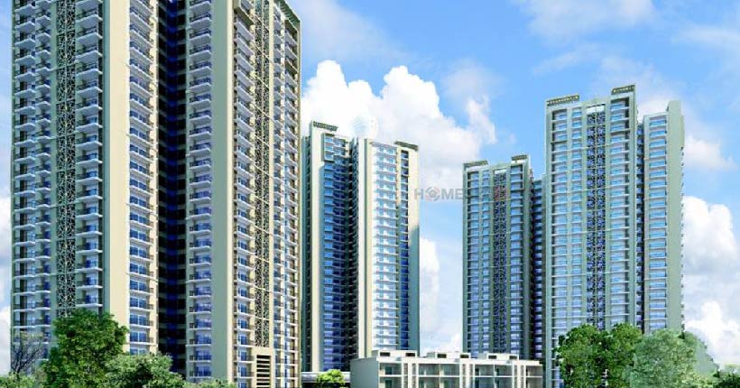 Apex Golf Avenue Cover Image