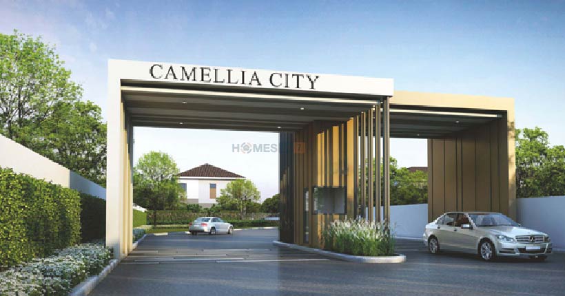 Elpida Camellia City Cover image