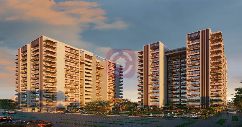 Shreepad Infinia-cover-06