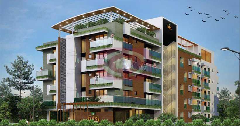 Tulsi V Home-cover-06