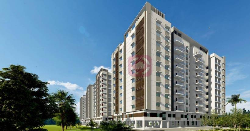 The Building Rasagna North-cover-06